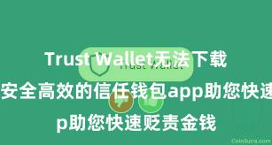 Trust Wallet无法下载解决方案 安全高效的信任钱包app助您快速贬责金钱