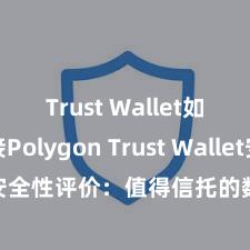 Trust Wallet如何连接Polygon Trust Wallet安全性评价：值得信托的数字货币钱包